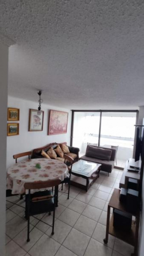 Departamento Avenida Del Mar